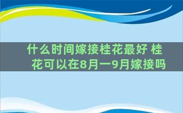 什么时间嫁接桂花最好 桂花可以在8月一9月嫁接吗